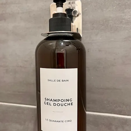 Apartment Le Quarante Cinq -1 Laval (Mayenne)