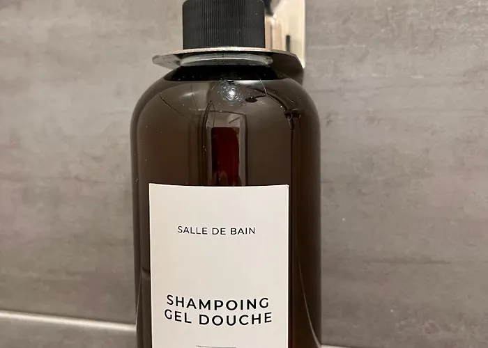 Apartamento Le Quarante Cinq -1 Laval (Mayenne)